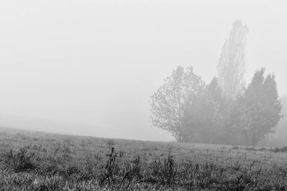 kenton-photographic-print-for-sale