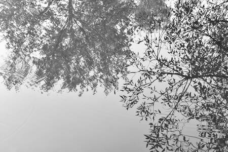 In equilibrio con la natura In equilibrio con la natura