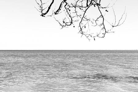 Argento liquido Argento liquido