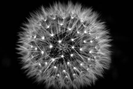 Universo locale Universo locale