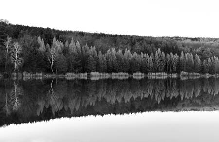 Specchio della Natura