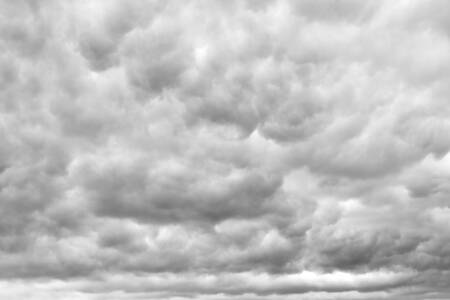 Paradiso coperto Paradiso coperto