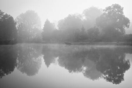 Giorno d'argento Giorno d'argento