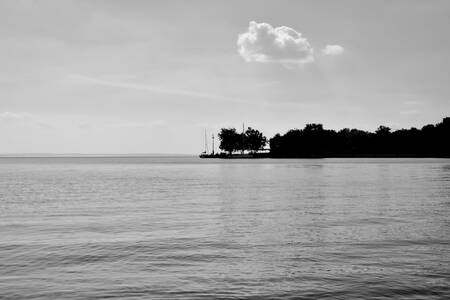 Albero e nuvola Albero e nuvola