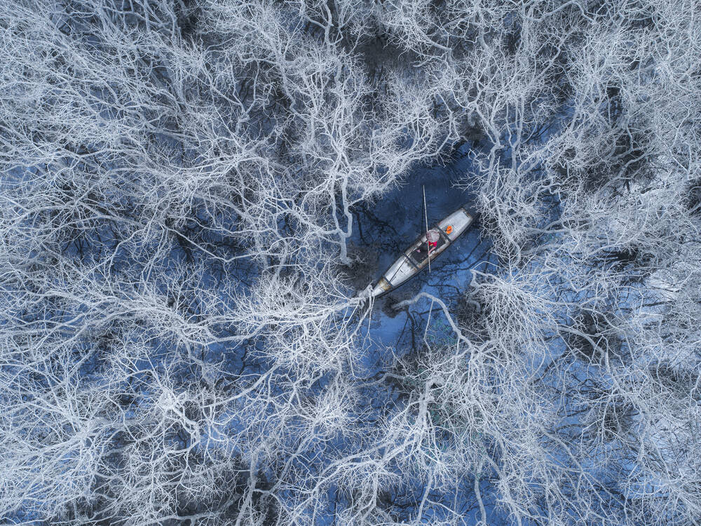 In the magrove forest