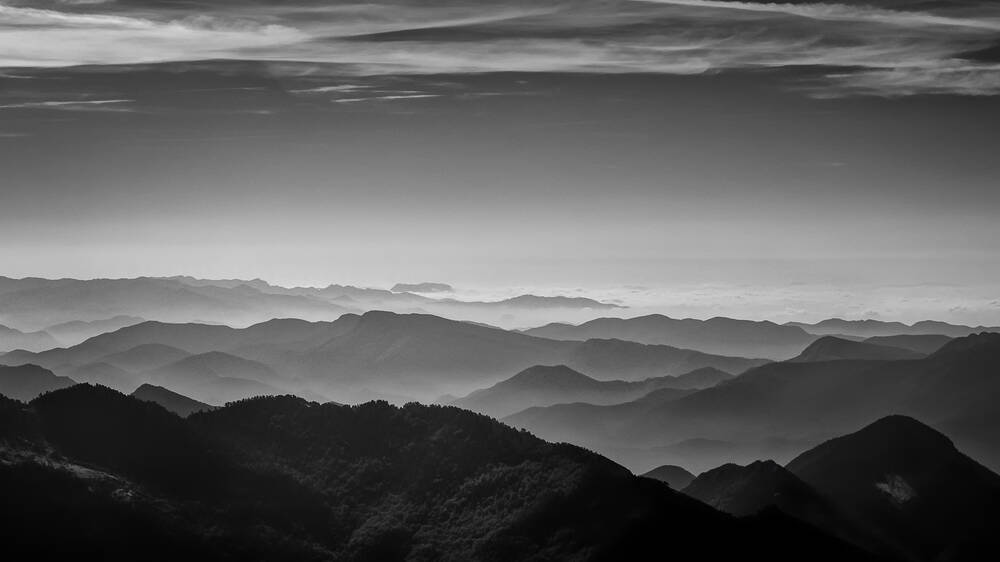 Een Pyreneeën print