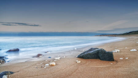 Quand l'océan se retire