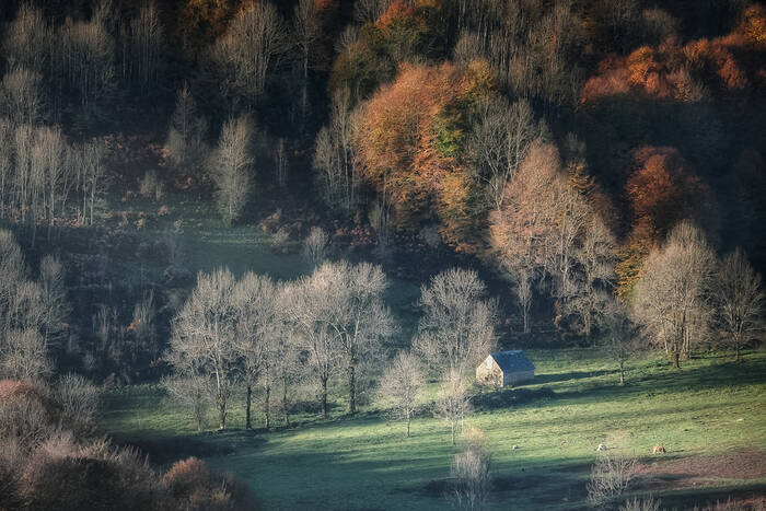 Paradis oubliés Paradis oubliés
