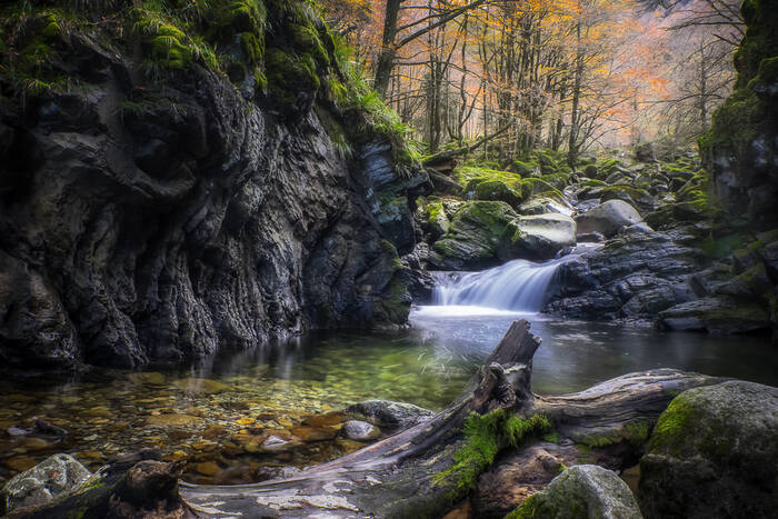 Rivière d'Ars Rivière d'Ars