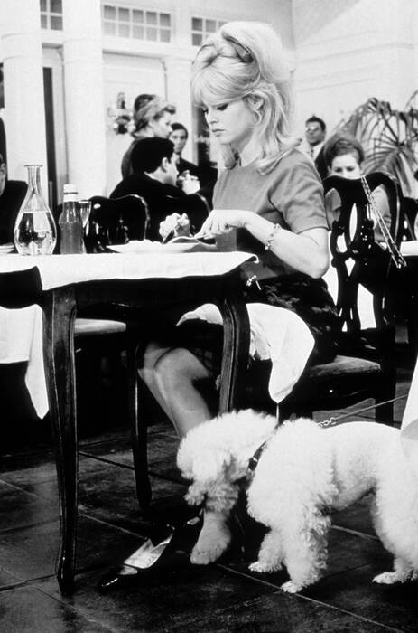 Brigitte Bardot - Una stupenda idiota Brigitte Bardot - Una stupenda idiota