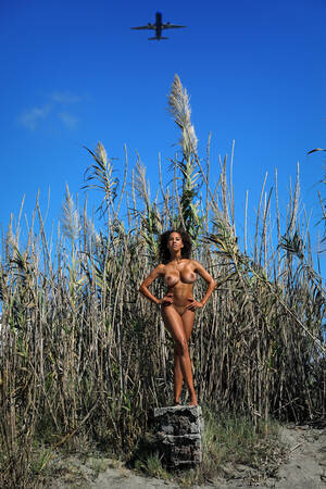 Flygningen Flygningen