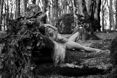 Le reste d'une Amazonie Le reste d'une Amazonie