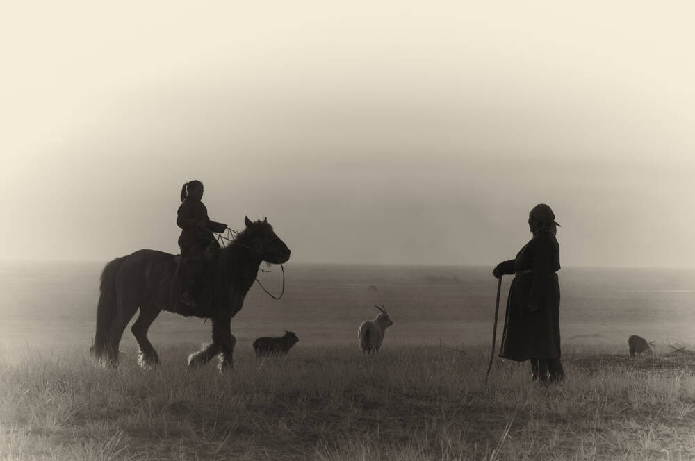 The Mongolian nomad