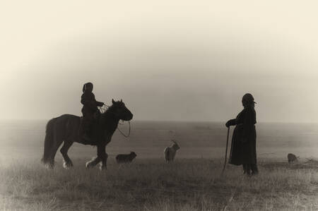 The Mongolian nomad
