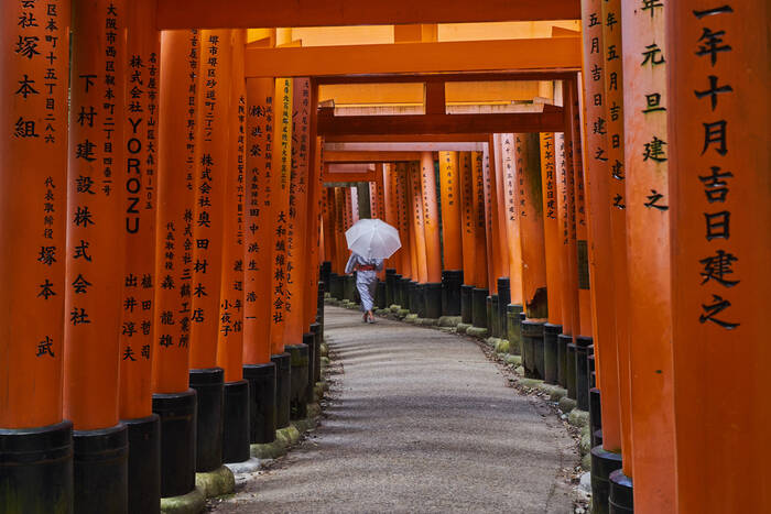 De torii van Inari taisha