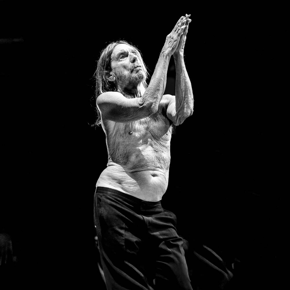 Iggy Pop