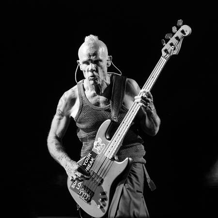 Flea - Red Hot Chili Peppers Flea - Red Hot Chili Peppers