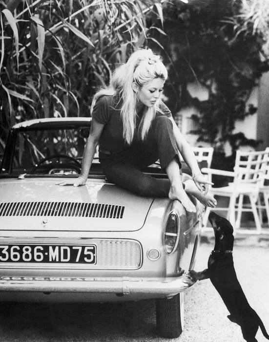 Brigitte Bardot con bassotto (1962) Brigitte Bardot con bassotto (1962)