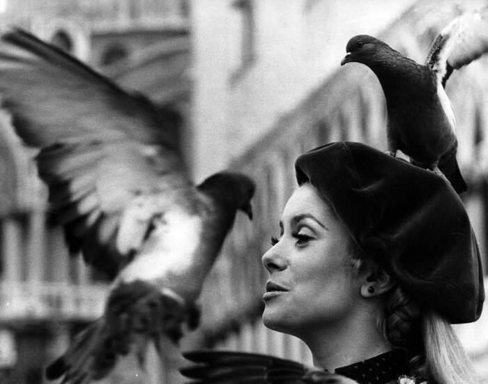 Catherine Deneuve omringd door duiven