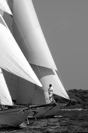 Der Wind in den Segeln