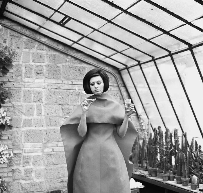 Lo stile senza tempo di Sophia Loren nel suo nuovo abito Lo stile senza tempo di Sophia Loren nel suo nuovo abito