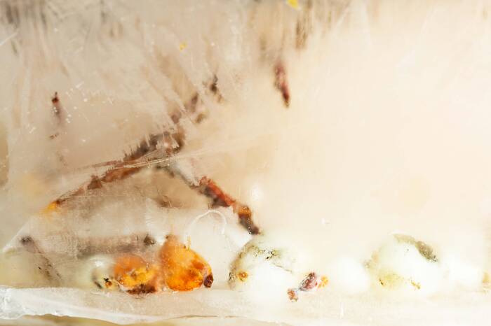 NARTICA LII NARTICA LII