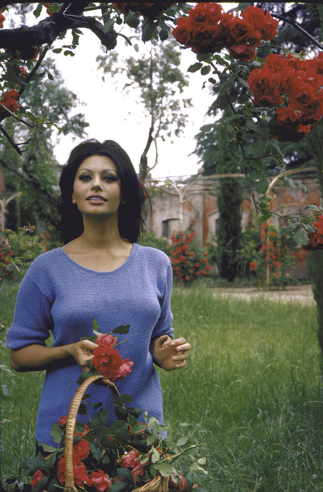 Sophia Loren in Rome 1960