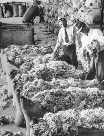 Mohair-ull Mohair-ull