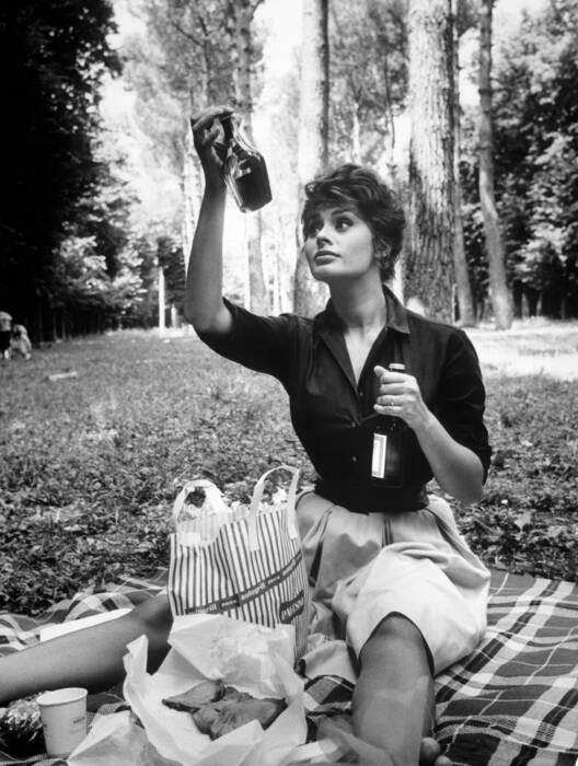 Sophia Loren a un picnic (1961) Sophia Loren a un picnic (1961)