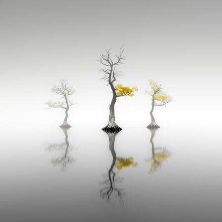 Echoes - Whispers II