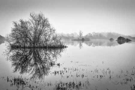 Marais de Goulaine Marais de Goulaine