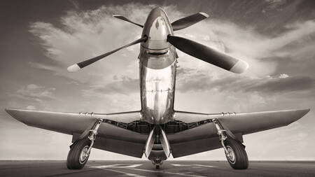 gevechtsvliegtuig gevechtsvliegtuig