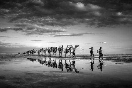 WOHNWAGEN 1 WOHNWAGEN 1