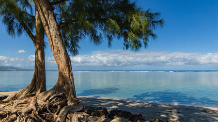 HERENIGINGSEILAND 087 HERENIGINGSEILAND 087