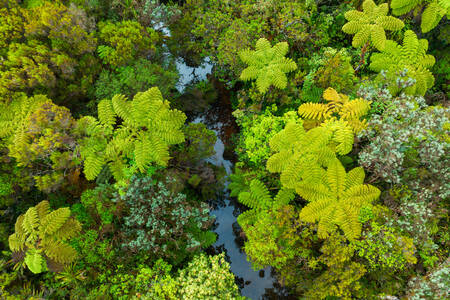 HERENIGINGSEILAND 093 HERENIGINGSEILAND 093