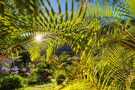 HERENIGINGSEILAND 095 HERENIGINGSEILAND 095