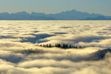 PEJ alpes 022 PEJ alpes 022