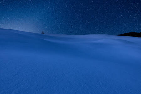 PHJ hoogwaardige kammen 372 PHJ hoogwaardige kammen 372