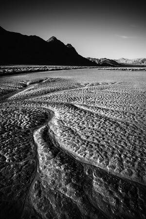 PISTA DI GARA PISTA DI GARA