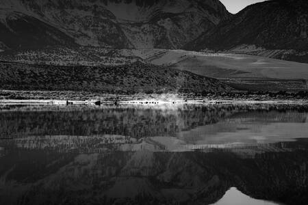 RIFLESSIONI AL LAGO MONO RIFLESSIONI AL LAGO MONO