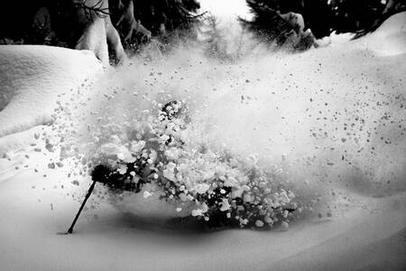 FREERIDE-SKIDÅKNING 119 FREERIDE-SKIDÅKNING 119