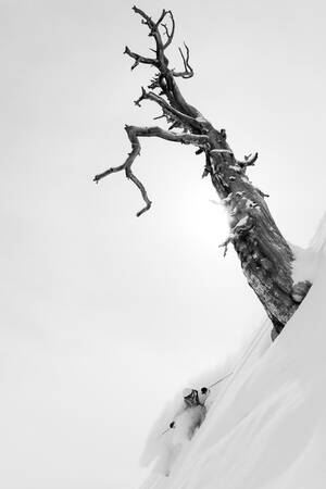 FREERIDE-SKIDA 120 FREERIDE-SKIDA 120