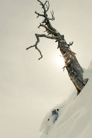 FREERIDE SKIËN 123 FREERIDE SKIËN 123