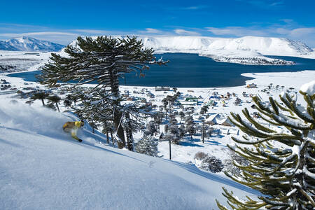 FREERIDE SKIËN 126 FREERIDE SKIËN 126