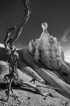 Tableau USA bryce canyon 06 Tableau USA bryce canyon 06