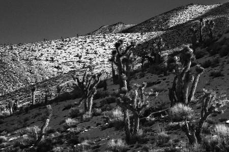 Tableau USA death valley 11 Tableau USA death valley 11