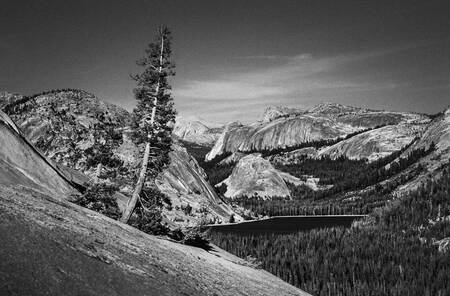 Tableau USA Yosemite 04 Tableau USA Yosemite 04