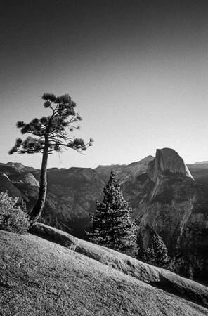 Tableau USA Yosemite 05 Tableau USA Yosemite 05