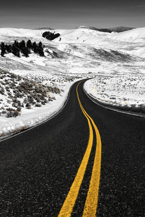 Nel cuore di Yellowstone Nel cuore di Yellowstone