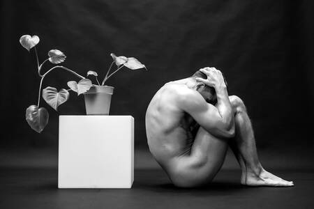 Tribute To Robert Mapplethorpe